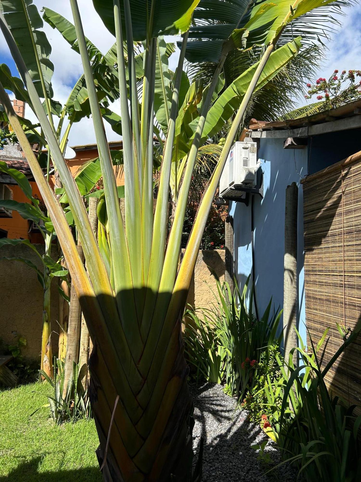 Hotel Casa Aratu - Caraíva Esterno foto